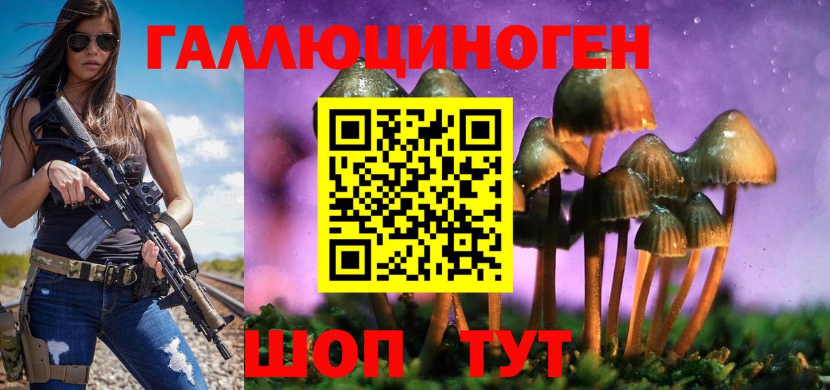 Вольск  Псилоцибиновые грибы прущие грибы  Вход с VPN 