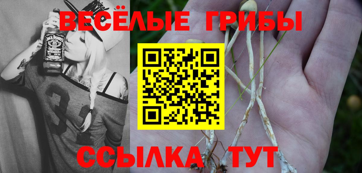 Галлюциногенные грибы GOLDEN TEACHER Вольск